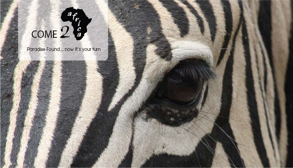 Come-2-Africa