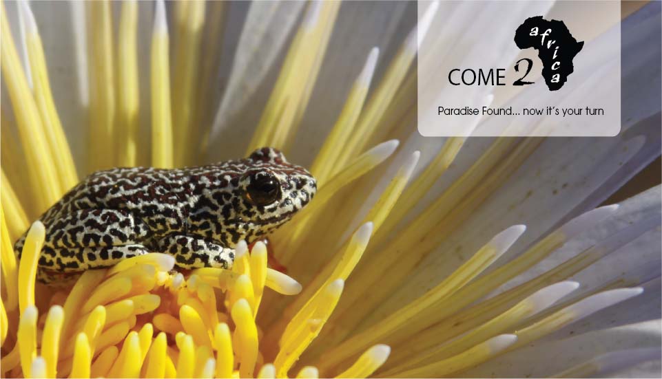 Come-2-Africa